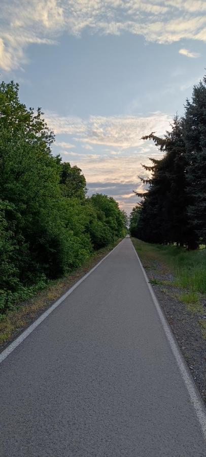 Ferienwohnung Maeurer Leipziger Neuseenland Groitzsch Exterior foto